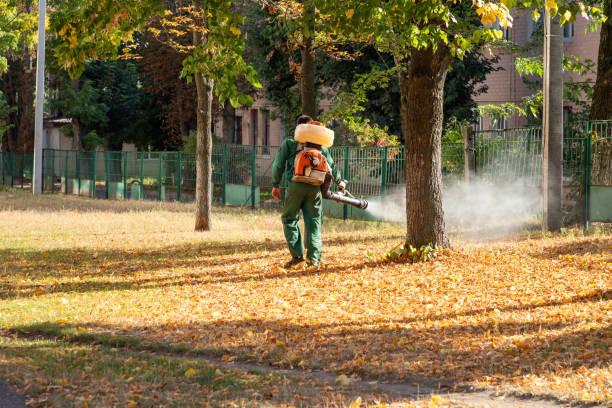 Best Pest Control Treatment  in Duson, LA